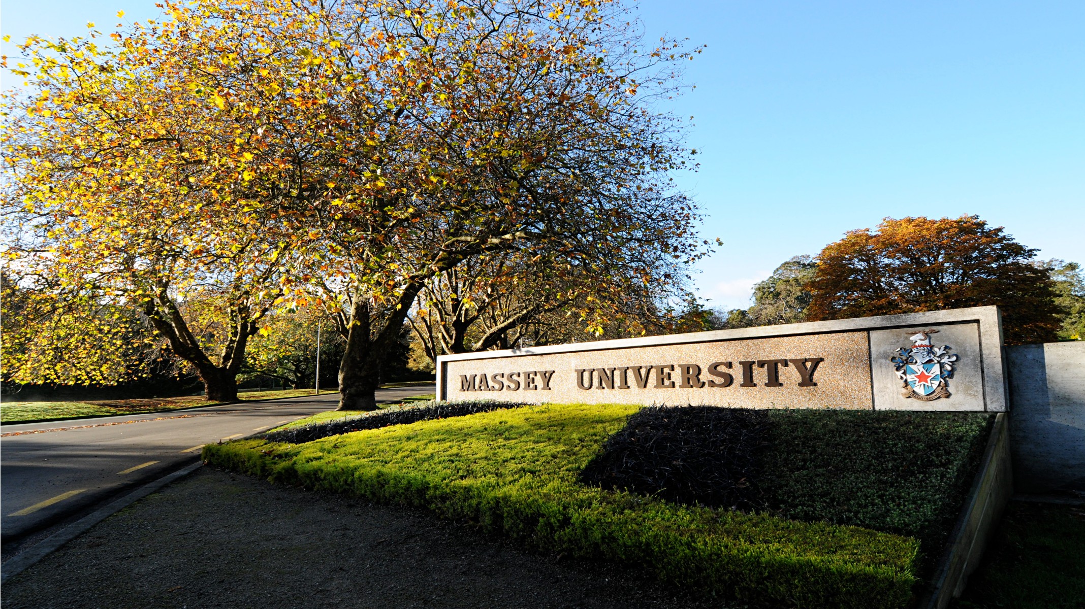 International Creative Excellence Scholarships 2026 at Massey University