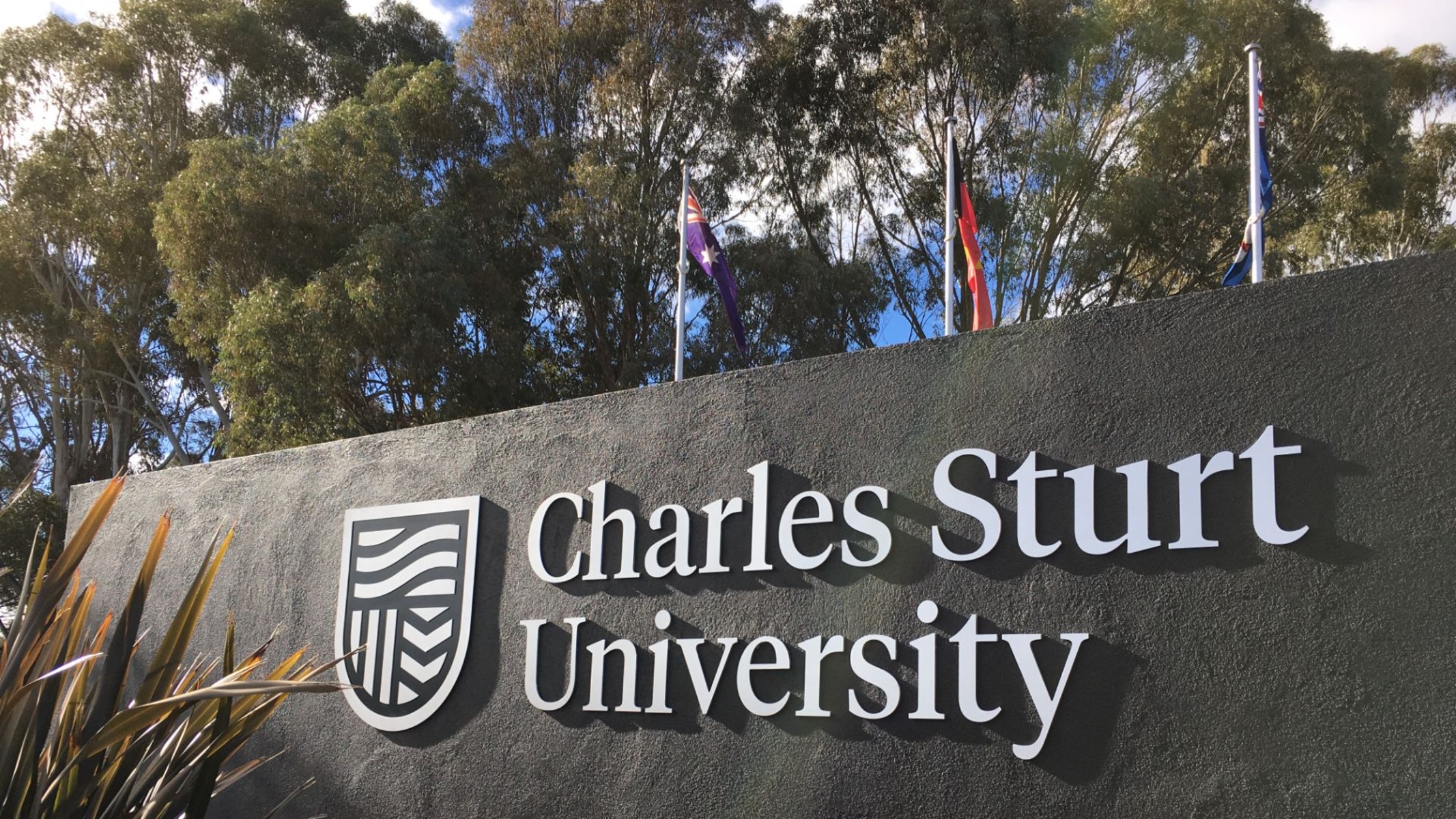 International Diversity Scholarship 2026 at Charles Sturt University