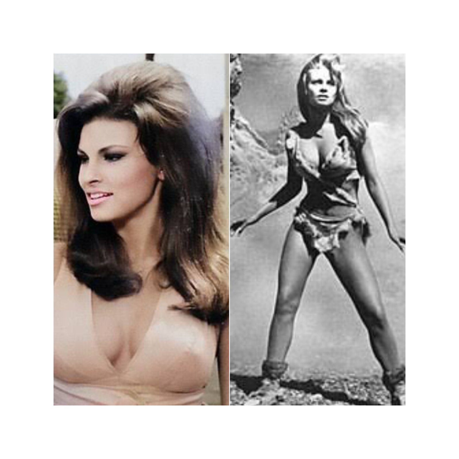 Raquel Welch Biography: Net Worth, Age, Husband, Education, Family, Career & Early Life