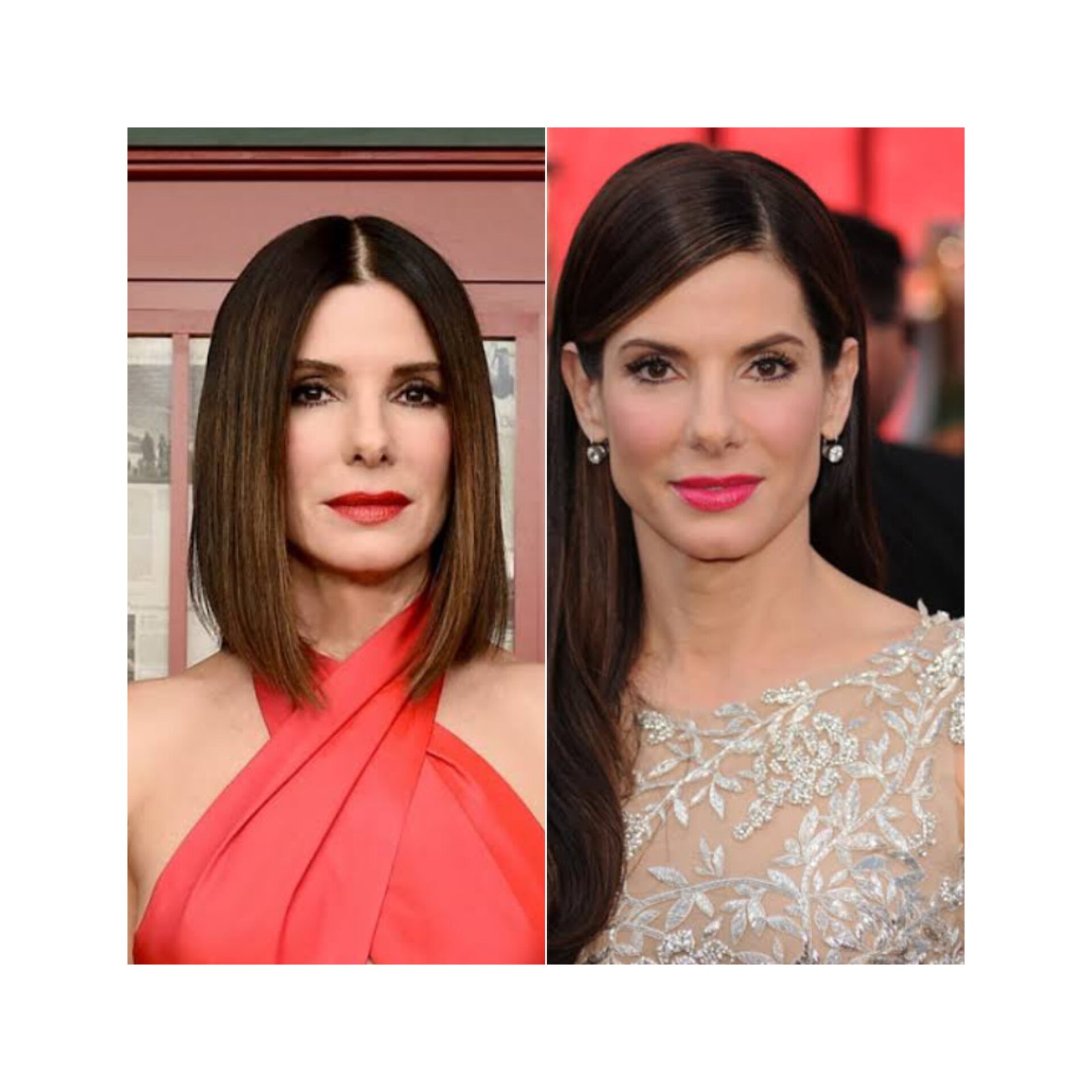Sandra Bullock Biography: Net Worth, Age, Husband, Education, Family, Career & Early Life
